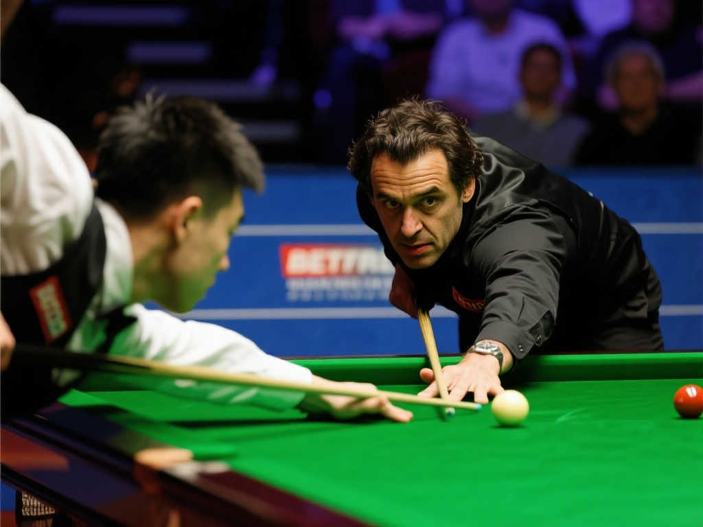 书写自己的 书写自己的